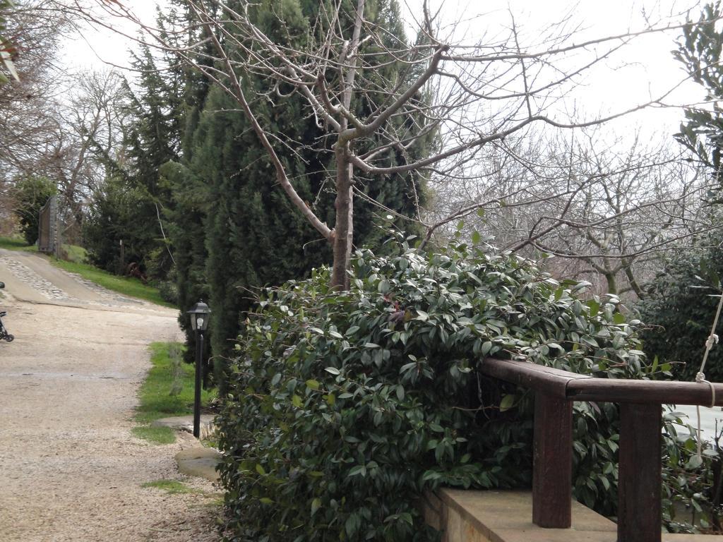 فندق Acutoفي  Agriturismo Le Valli المظهر الخارجي الصورة