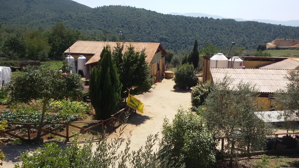 فندق Acutoفي  Agriturismo Le Valli المظهر الخارجي الصورة